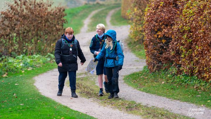 Gode spejdervenner på pratisk kort og kompas, Hammer Bakker